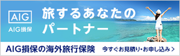 旅するあなたのパートナー AIG損保の海外旅行保険