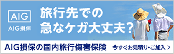 旅行先での急なケガ大丈夫？ AIG損保の国内旅行損害保険