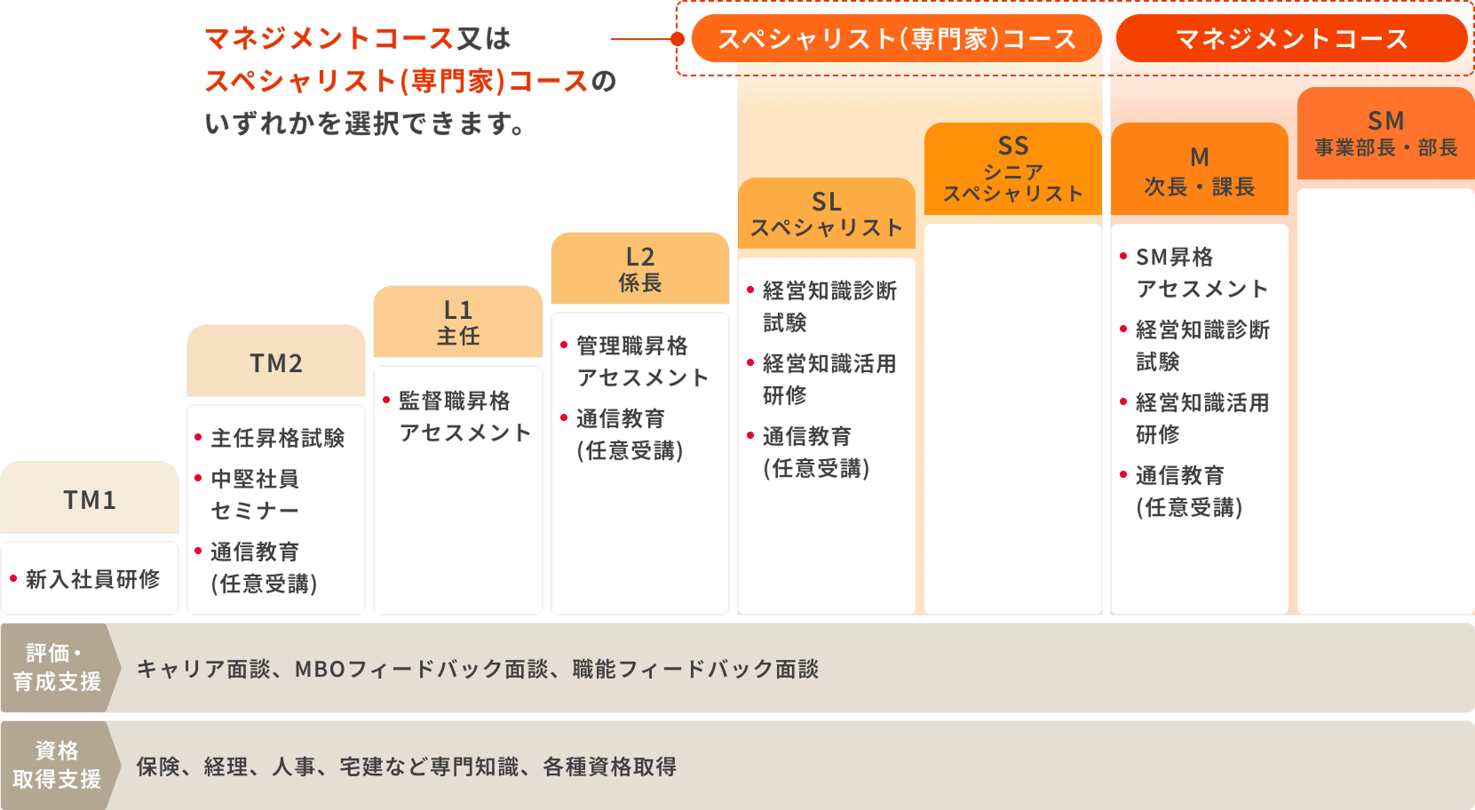 スペシャリスト（専門家）コース マネジメントコース